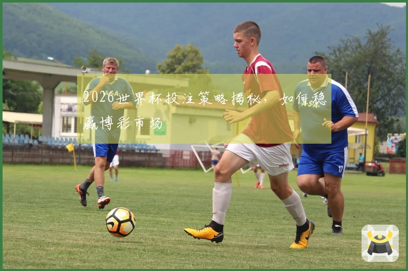 2026世界杯投注策略揭秘，如何稳赢博彩市场