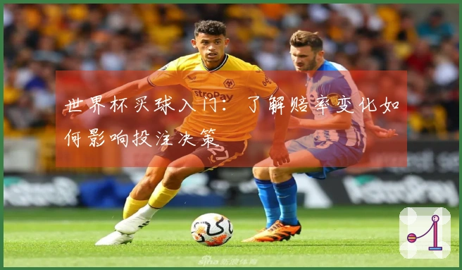 世界杯买球入门：了解赔率变化如何影响投注决策