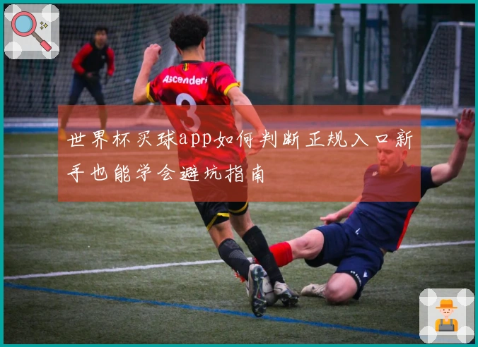 世界杯买球app如何判断正规入口新手也能学会避坑指南