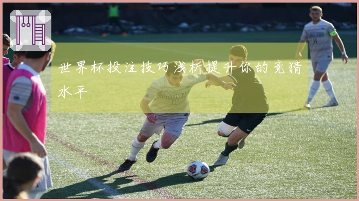 世界杯投注技巧浅析提升你的竞猜水平