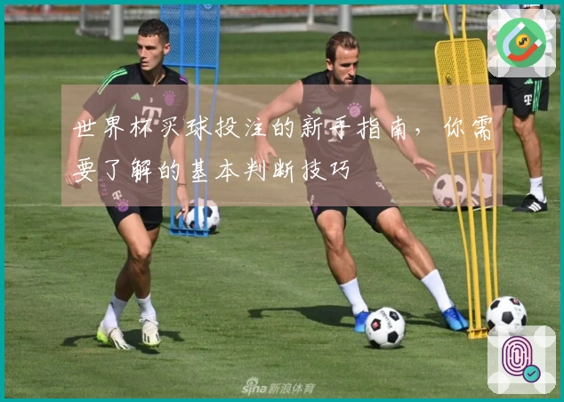 世界杯买球投注的新手指南,你需要了解的基本判断技巧