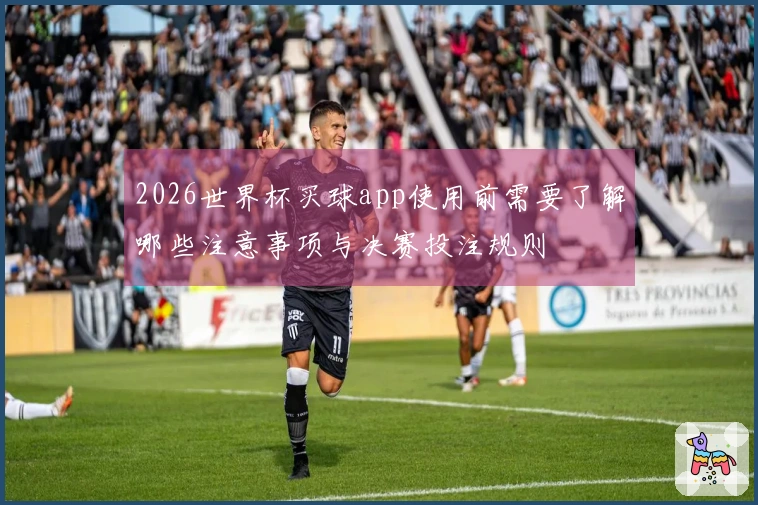 2026世界杯买球app使用前需要了解哪些注意事项与决赛投注规则