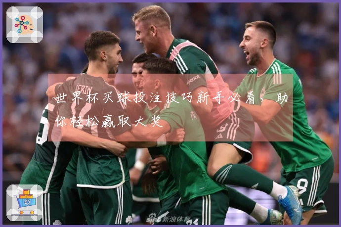 世界杯买球投注技巧新手必看，助你轻松赢取大奖