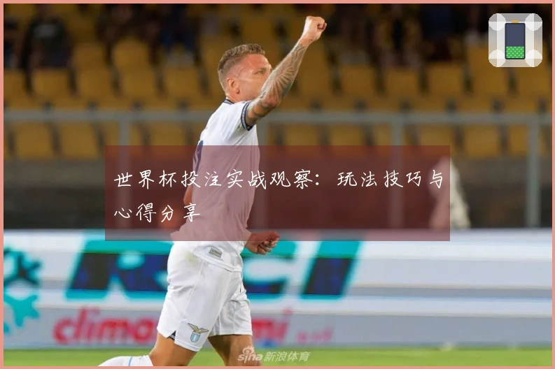 世界杯投注实战观察：玩法技巧与心得分享