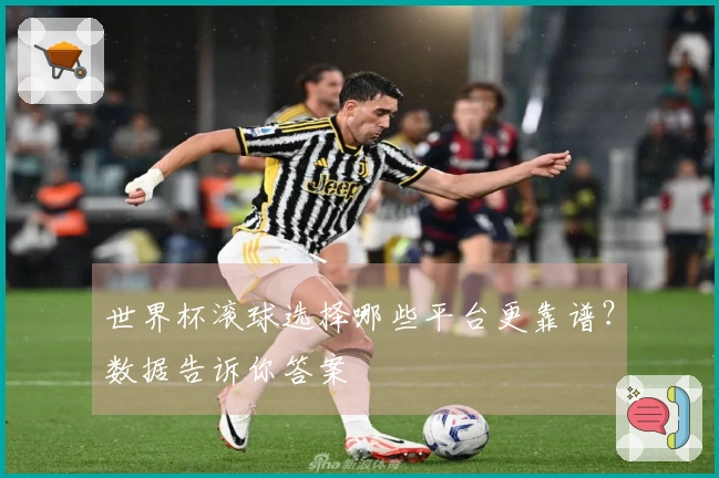 世界杯滚球选择哪些平台更靠谱？数据告诉你答案