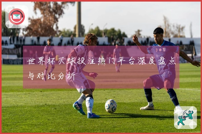 世界杯买球投注热门平台深度盘点与对比分析