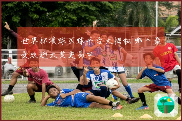 世界杯滚球买球平台大揭秘 哪个最受欢迎大奖更易中
