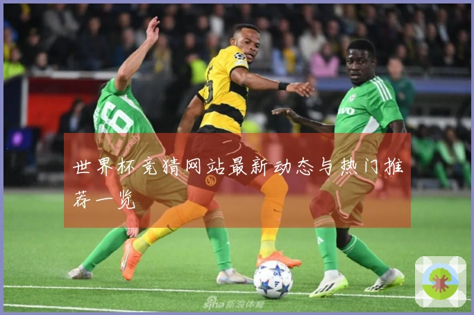 世界杯竞猜网站最新动态与热门推荐一览