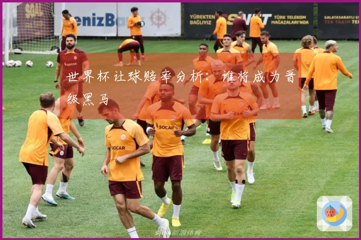 世界杯让球赔率分析：谁将成为晋级黑马