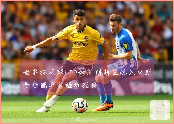世界杯买球app如何判断正规入口新手也能学会避坑指南