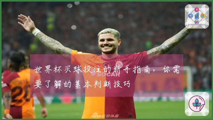 世界杯买球投注的新手指南，你需要了解的基本判断技巧