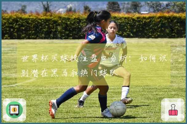 世界杯买球投注盘口分析：如何识别潜在黑马和热门球队
