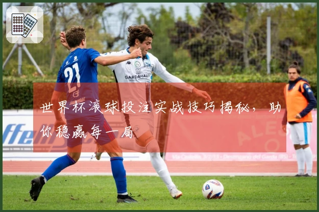 世界杯滚球投注实战技巧揭秘，助你稳赢每一局