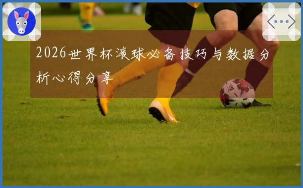 2026世界杯滚球必备技巧与数据分析心得分享