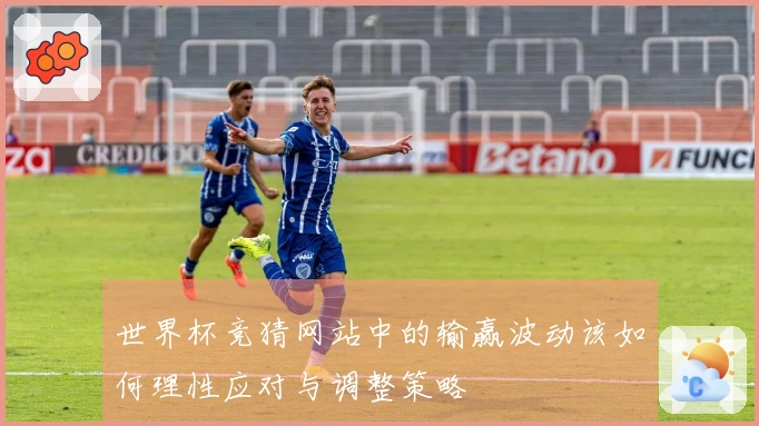 世界杯竞猜网站中的输赢波动该如何理性应对与调整策略