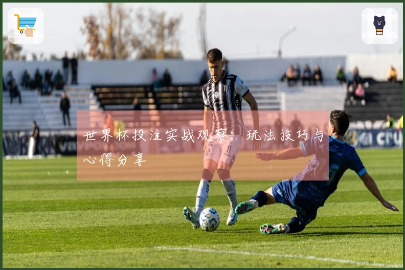 世界杯投注实战观察：玩法技巧与心得分享