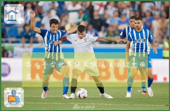 各大平台世界杯买球投注体验全面盘点